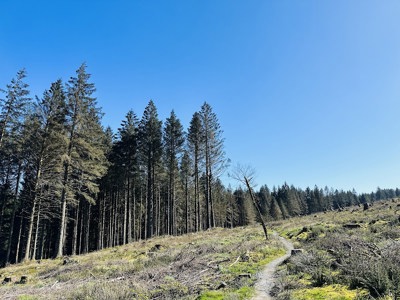 South Barrule Forest Park