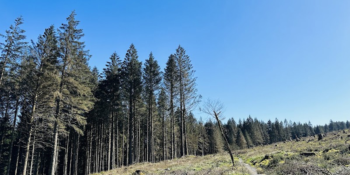 South Barrule Forest Park