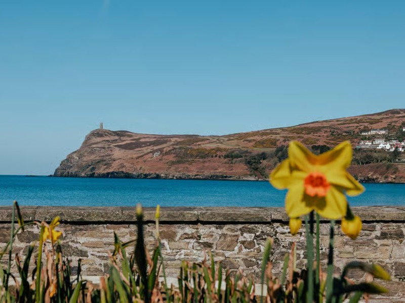 Island view + flowers.jpg