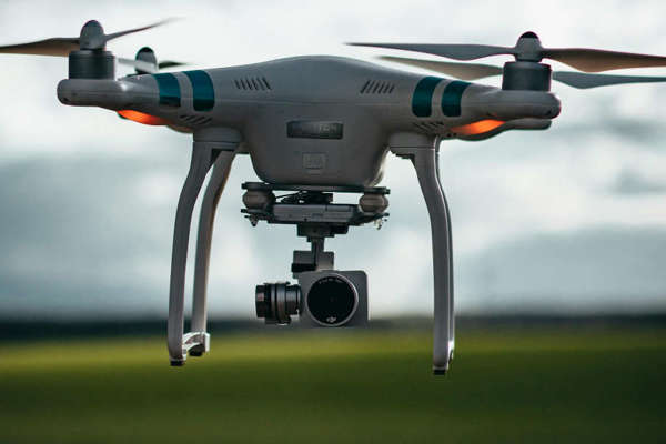 Police issue plea after drone user buzzes cattle