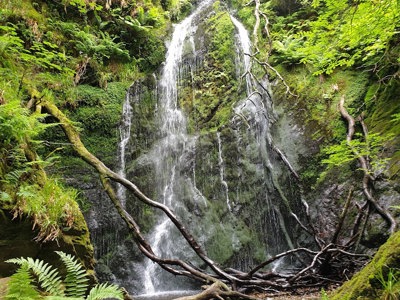Dhoon Glen
