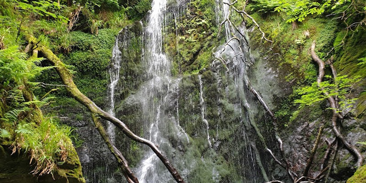 Dhoon Glen