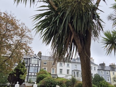 All Seasons Guesthouse
