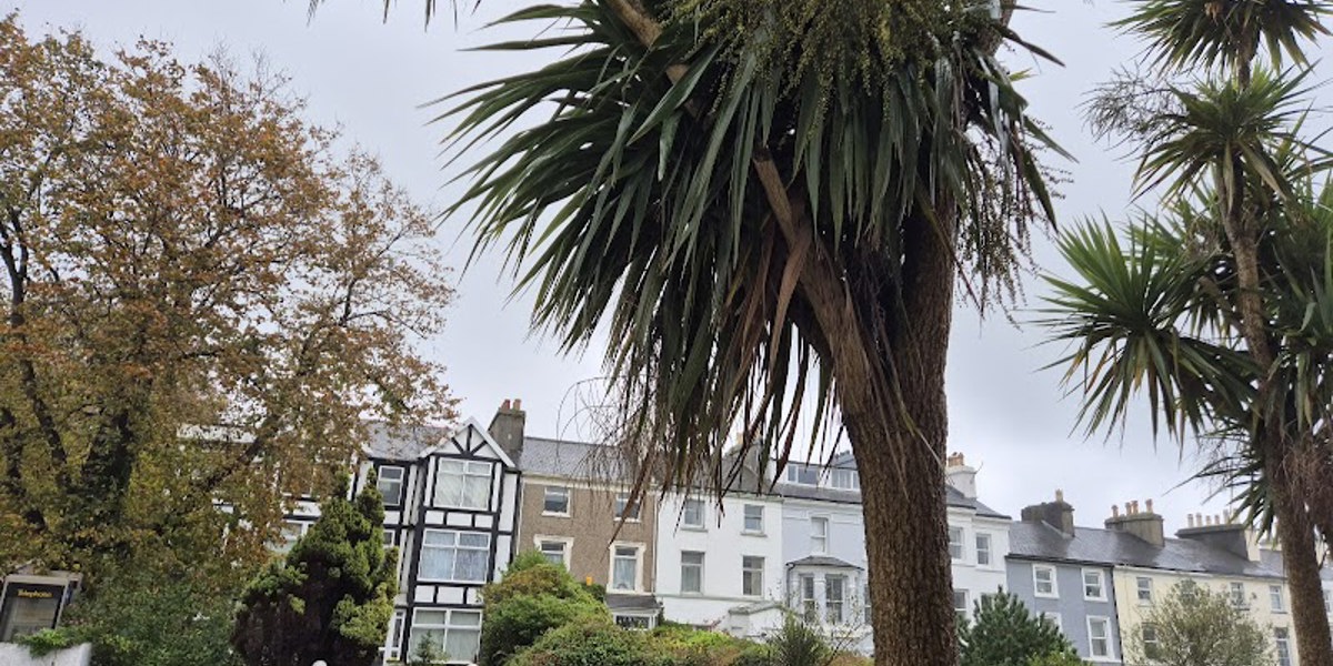 All Seasons Guesthouse