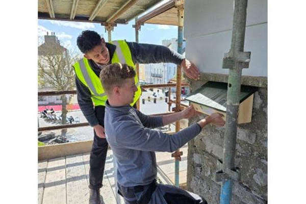 Castletown gets new homes for endangered Swifts