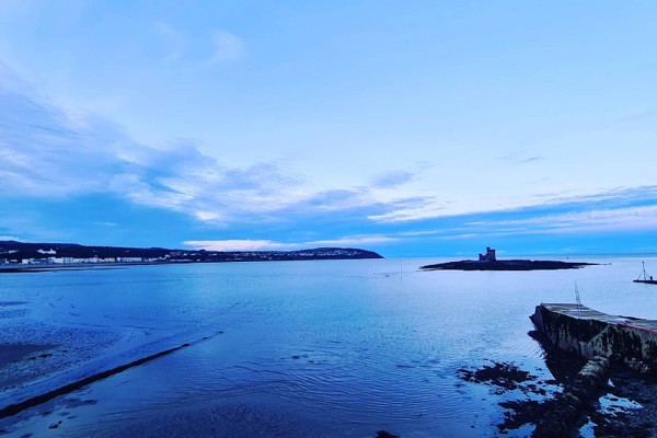 Island at 'forefront' of British Isles blue carbon research