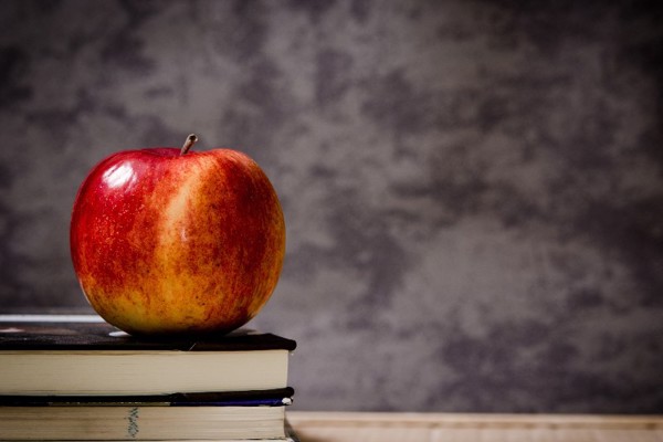 Review of Island's schools finds strengths and areas for growth
