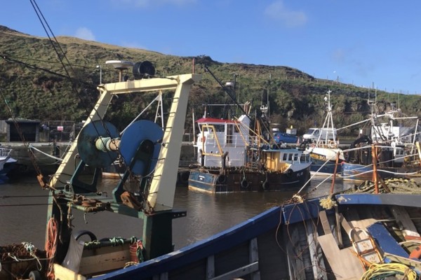 Fishing visa rules could prove detrimental, warns industry boss