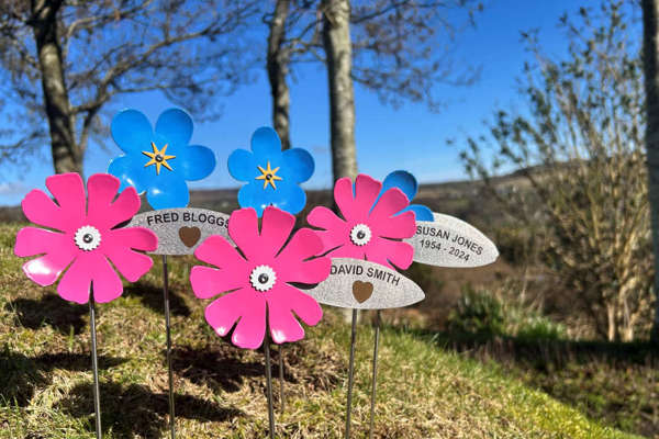 Charity's Memory Meadow returns!