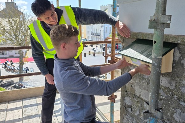 Nest boxes make meaningful contribution to wildlife conservation in ancient capital
