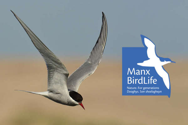 Bird charity gets boost from Manx Lottery Trust
