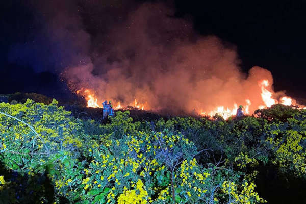 TT wildfire risk "very high"