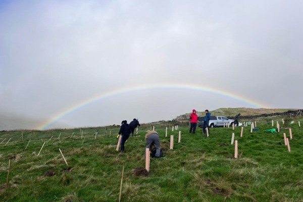 Community tree planting completes new Manx Rainforest site