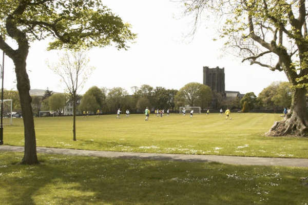 Masterplan for Island's biggest park on display today