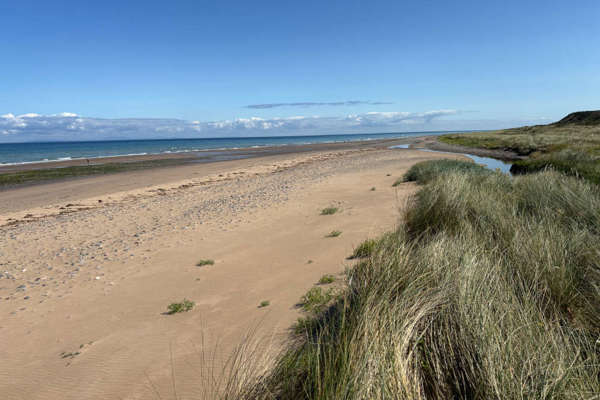 Second national nature reserve declared in honour of King's visit