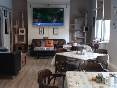 Manx Cat Cafe Ltd