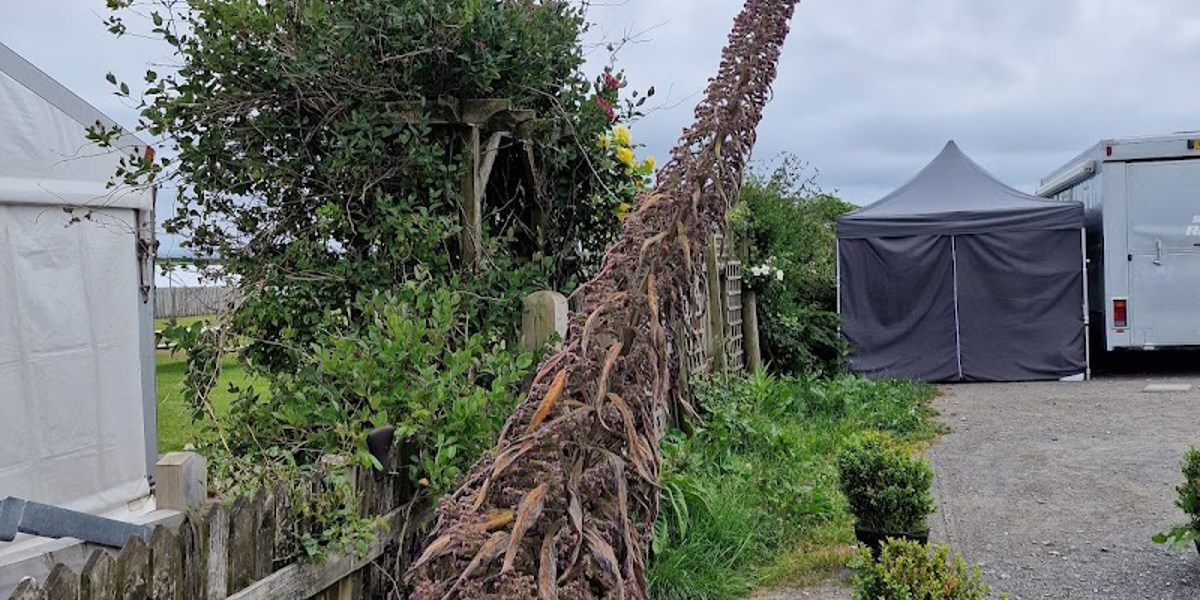 Isle of Man Campsite onchan