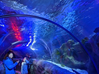SEA LIFE Loch Lomond Aquarium