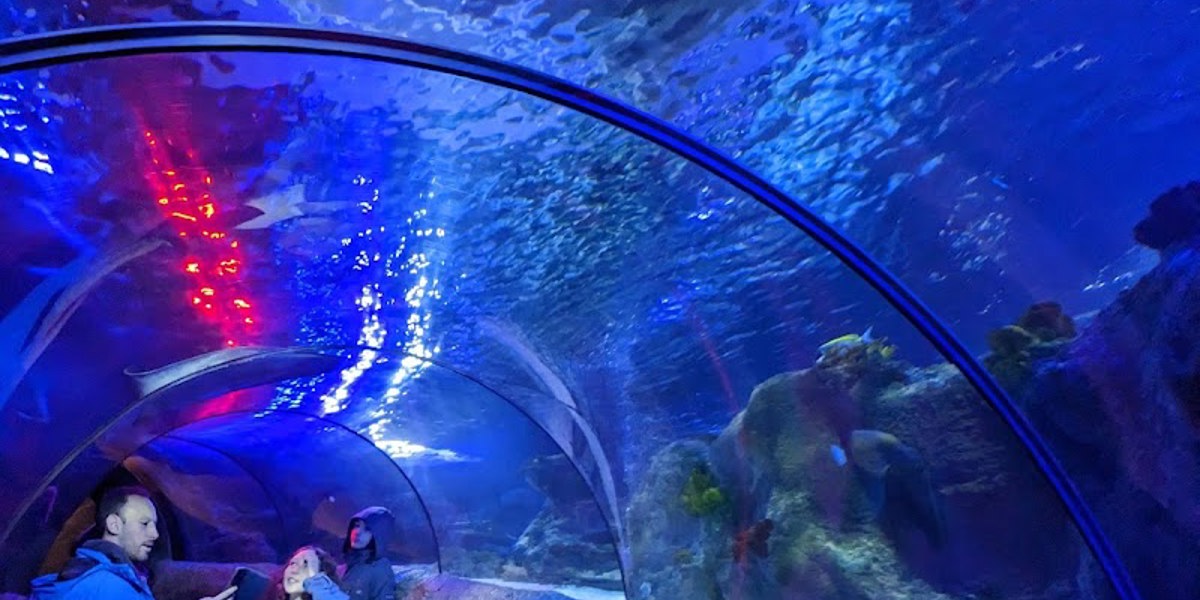 SEA LIFE Loch Lomond Aquarium
