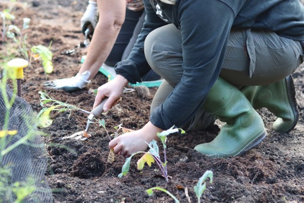 New community ranger excited to get people out and about in nature