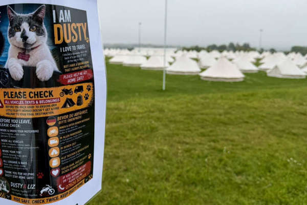 Posters put up to stop Dusty getting to Devon - or Deutschland! 