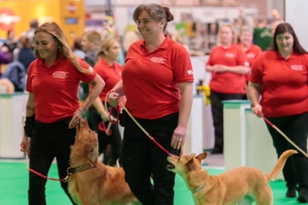 All eyes on Manx talent as Crufts 2026 gets underway