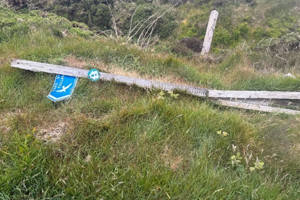 "The Island is letting itself down"
