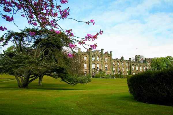 Future of Douglas landmark will be decided next week